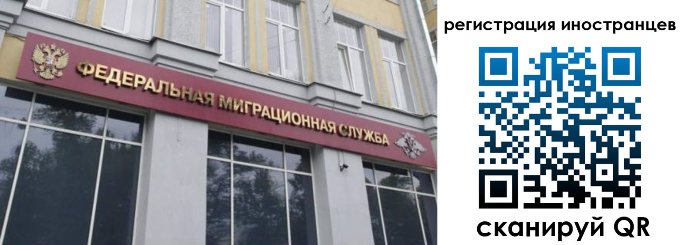пропишу в квартире в Мончегорске